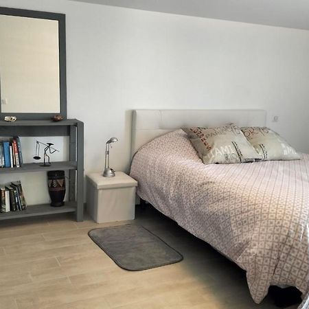 Cosy Lodge Gite Appartement Meuble City Break Тулуза Экстерьер фото